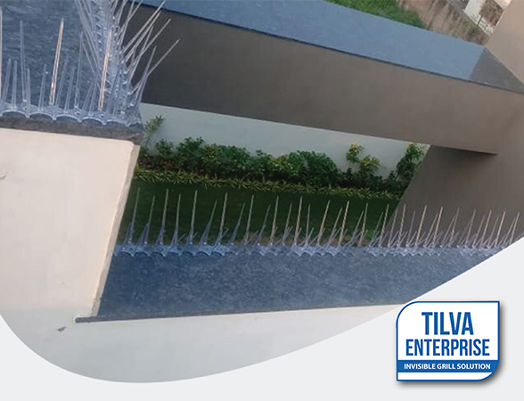 Bird_Spikes_tilve_enterprise